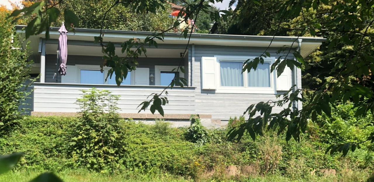 Ferienhaus Auszeit Lindenfels エクステリア 写真